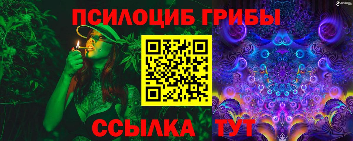 Сибай  Галлюциногенные грибы MAGIC MUSHROOMS  Вход с VPN 