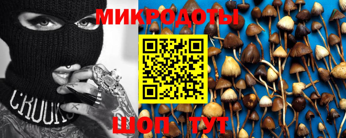 Галлюциногенные грибы Psilocybine cubensis Сибай